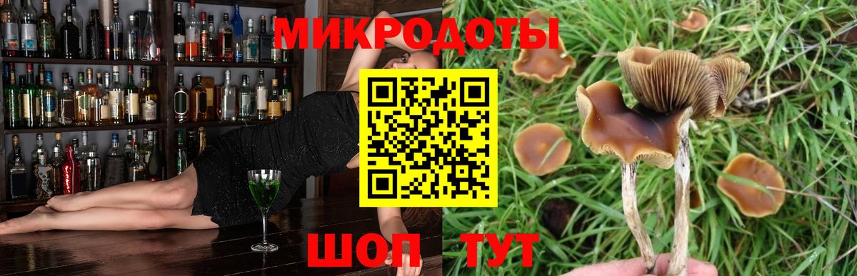 Галлюциногенные грибы Psilocybine cubensis  Псилоцибиновые грибы мухоморы  Вход с VPN  Нерюнгри 