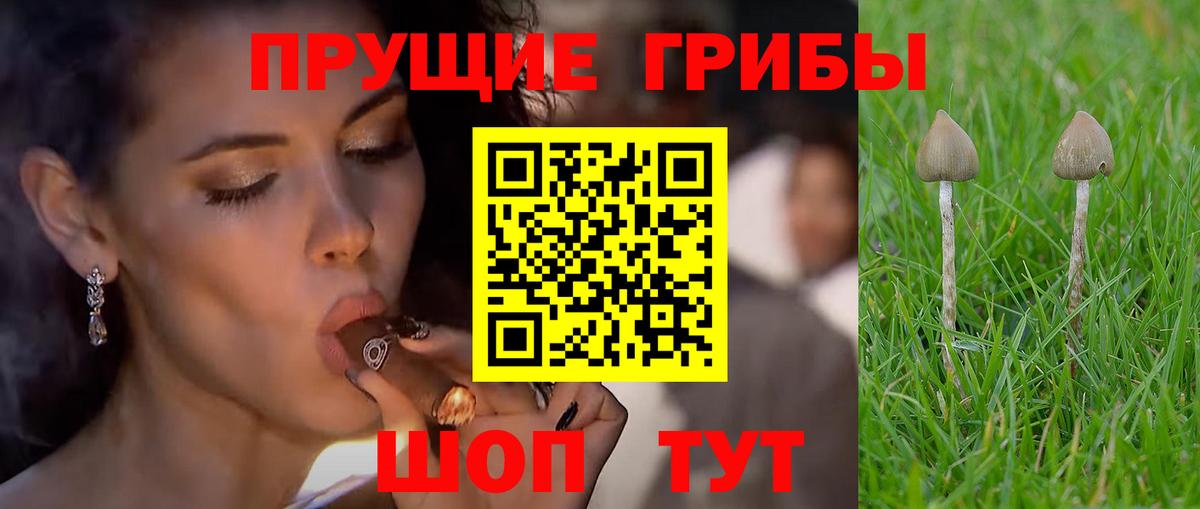 Псилоцибиновые грибы Magic Shrooms Нерюнгри